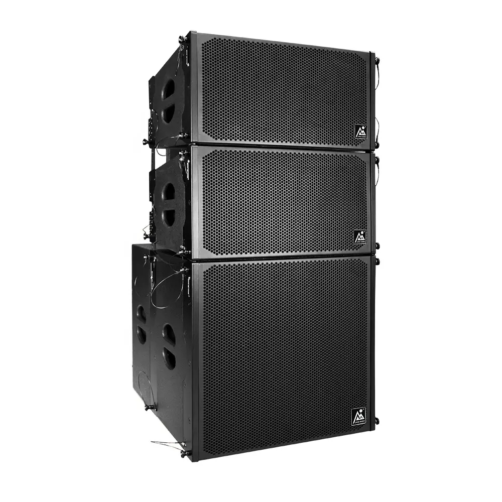 Únicos 10 alto-falantes lineares e 18 subwoofers sistema de alto-falantes PA ativos para eventos ao ar livre em igrejas